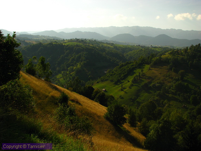 2008-09-01 16-14-38.JPG - 2008-RO>Ri Rucar